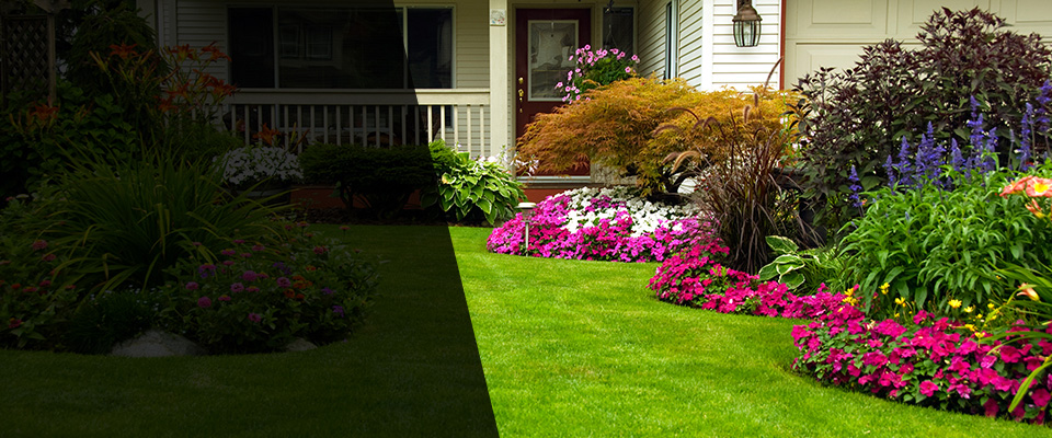 Orange Cove Landscapers