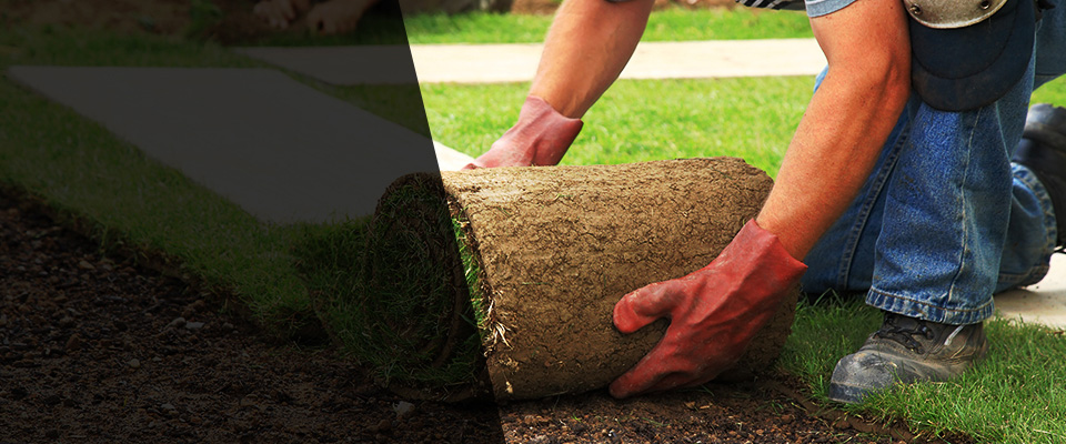 Orange Cove Landscapers